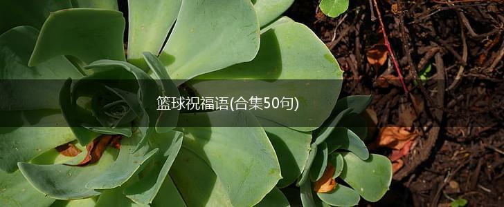 如何通过练习提升篮球罚球的速度和准确性?_0